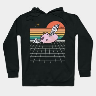 When Pigs Fly Hoodie